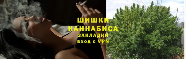 ПСИЛОЦИБИНОВЫЕ ГРИБЫ Абаза