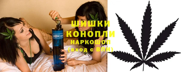 PSILOCYBIN Абинск