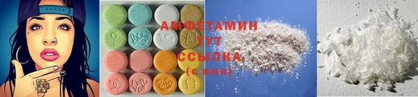ПСИЛОЦИБИНОВЫЕ ГРИБЫ Абаза