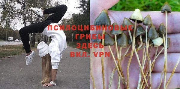 PSILOCYBIN Абинск