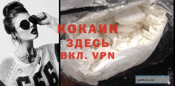 ПСИЛОЦИБИНОВЫЕ ГРИБЫ Абаза