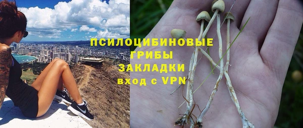 ПСИЛОЦИБИНОВЫЕ ГРИБЫ Абаза