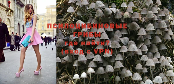 ПСИЛОЦИБИНОВЫЕ ГРИБЫ Абаза